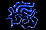 Silicone Hose Kits-NISSAN NCK14